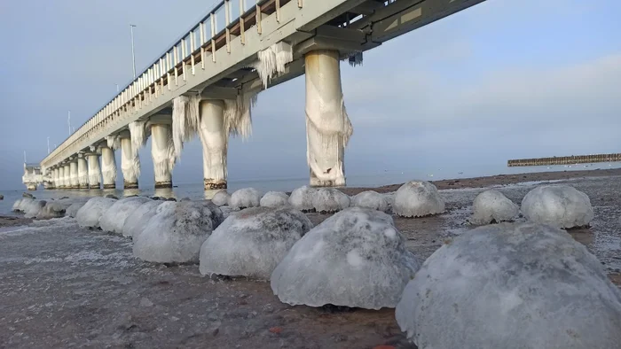 Зеленоградск в ледяном плену - 5