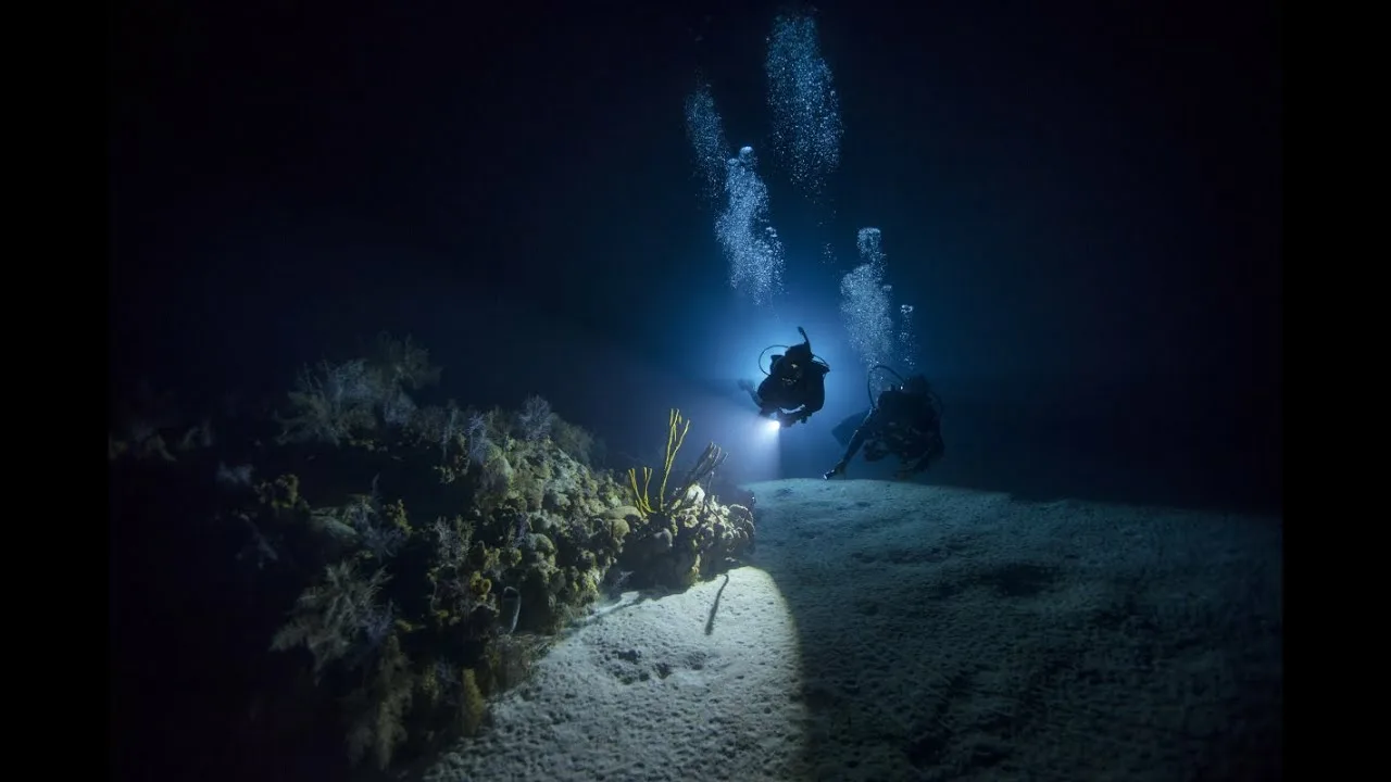 Языковая среда и носители. Неочевидные моменты - 1