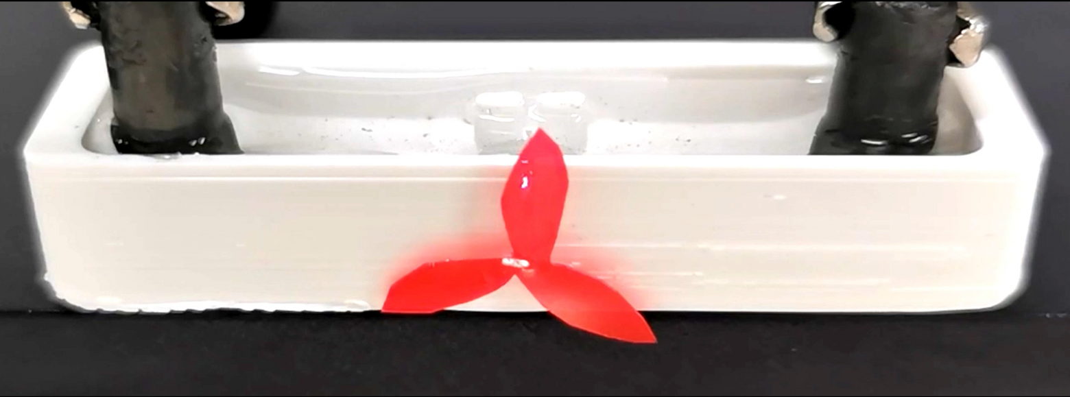 "Жидкий двигатель"