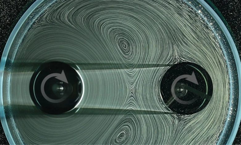 Снимок эксперимента (два цилиндра в вязкой среде)