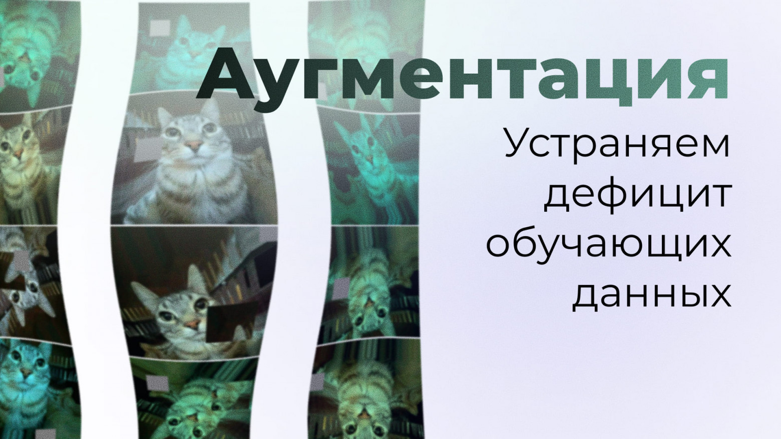 Кручу-верчу, обмануть хочу: как испортить картинку, чтобы нейросеть стала умнее - 1 Кручу-верчу, обмануть хочу: как испортить картинку, чтобы нейросеть стала умнее - 1