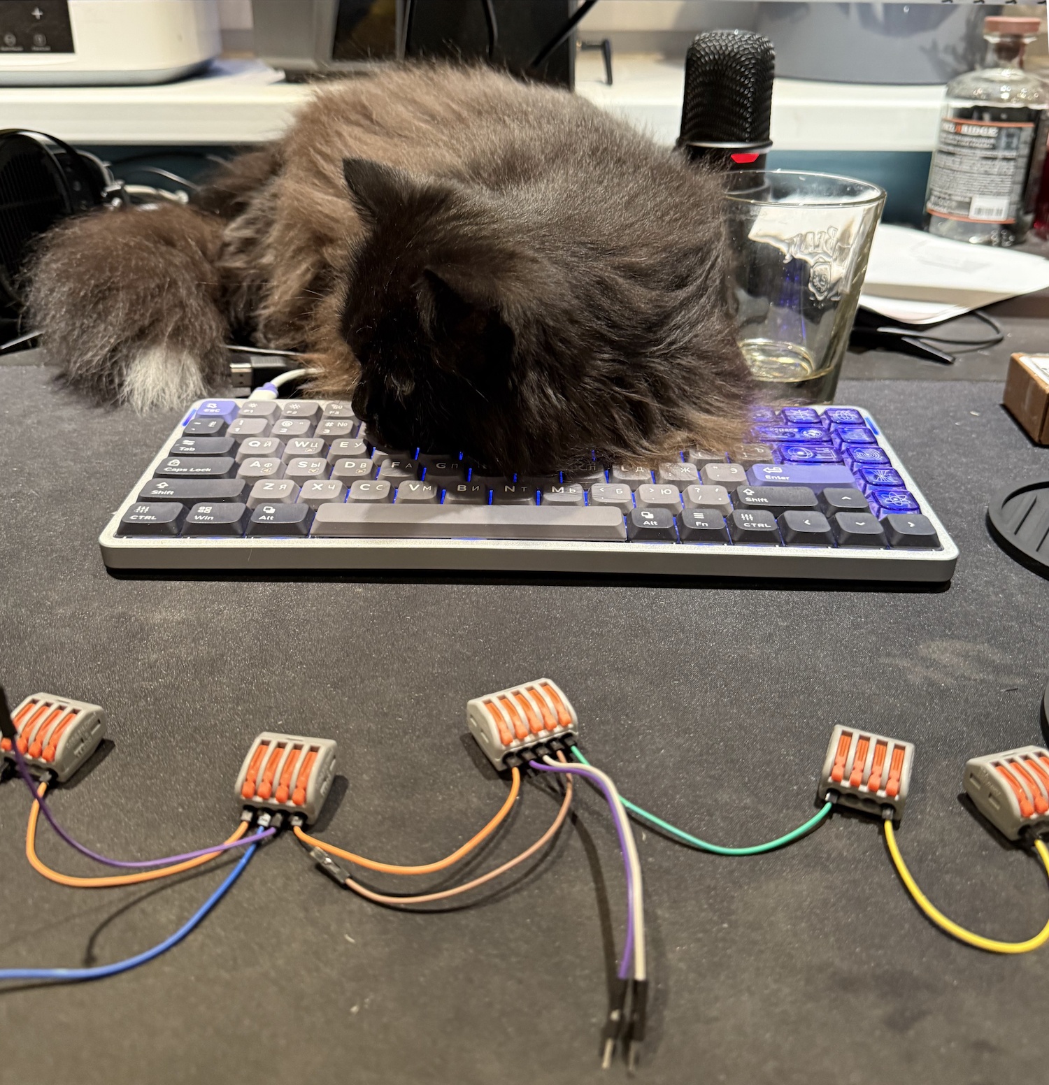 Слой электроники собирали вместе с ассистентом