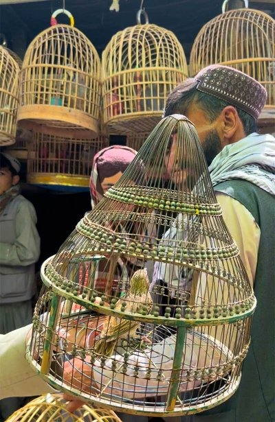 Мотопутешествие в Афганистан, часть 2 - 17