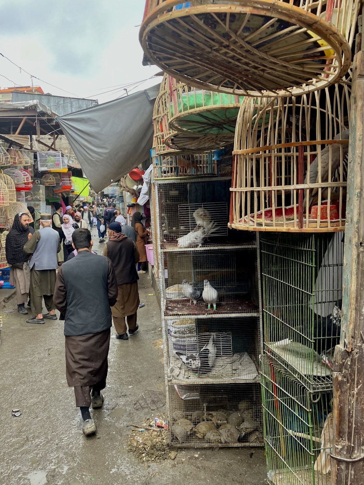 Мотопутешествие в Афганистан, часть 2 - 18