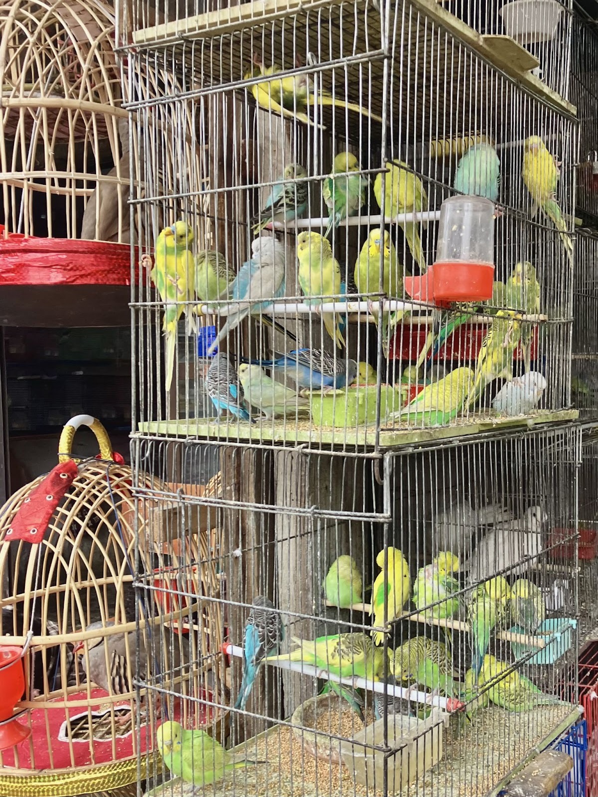 Мотопутешествие в Афганистан, часть 2 - 19