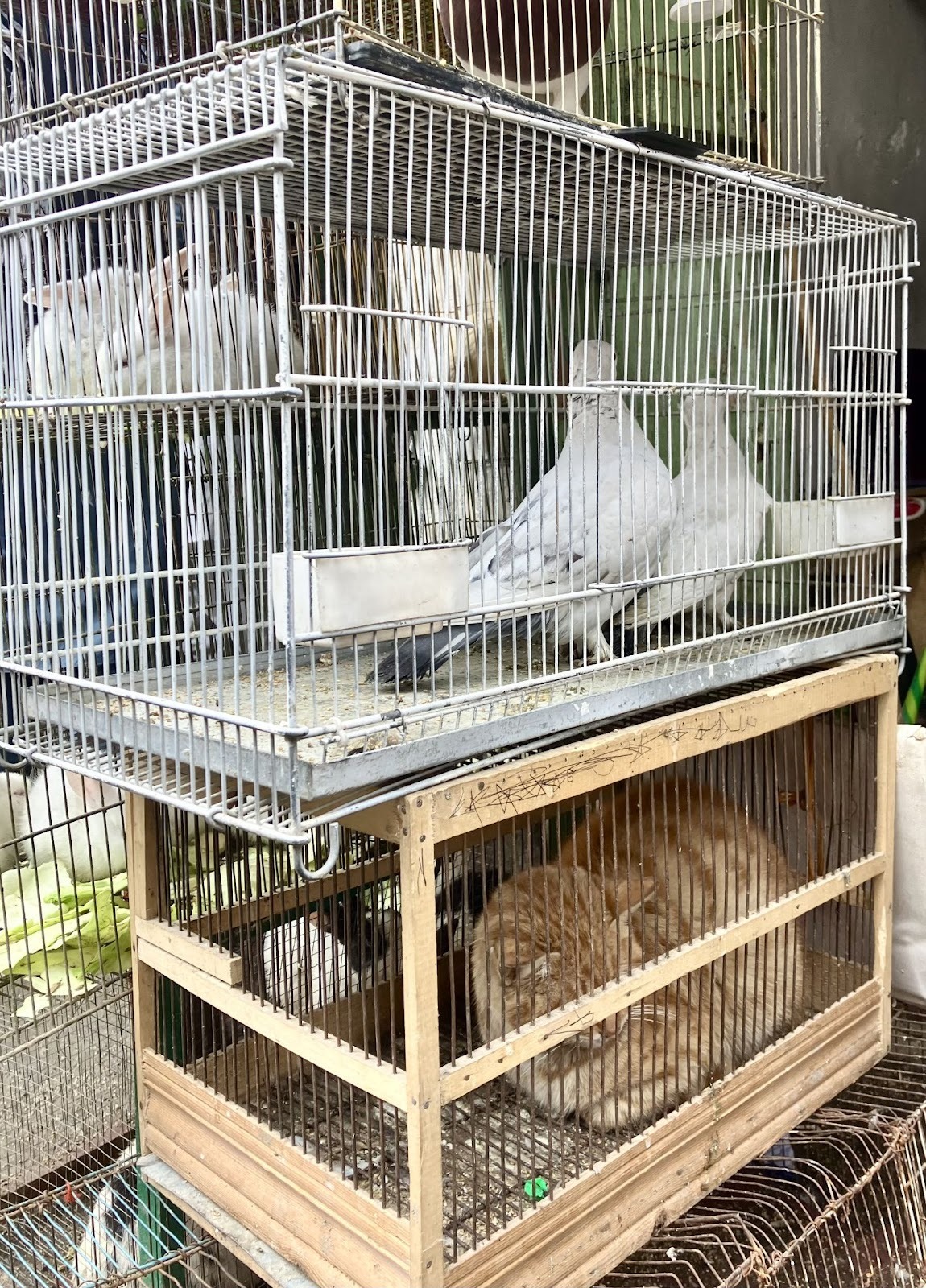 Мотопутешествие в Афганистан, часть 2 - 20