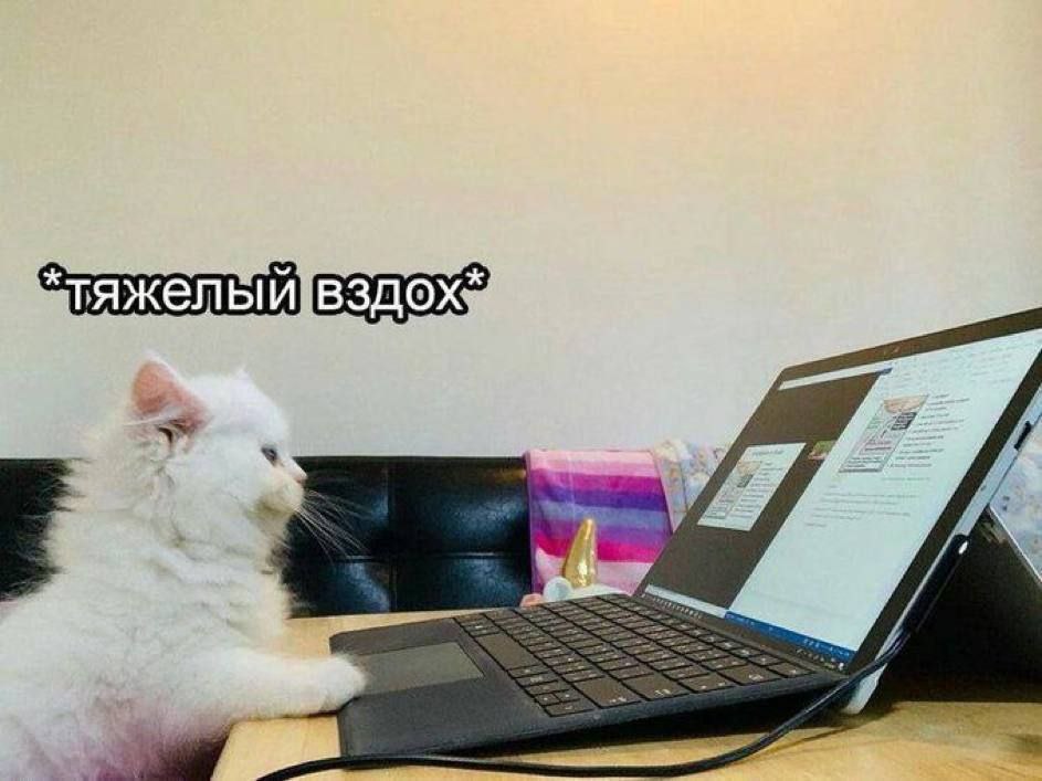 Шесть признаков того, что вам нужен отпуск. Даже если вы только из отпуска - 1