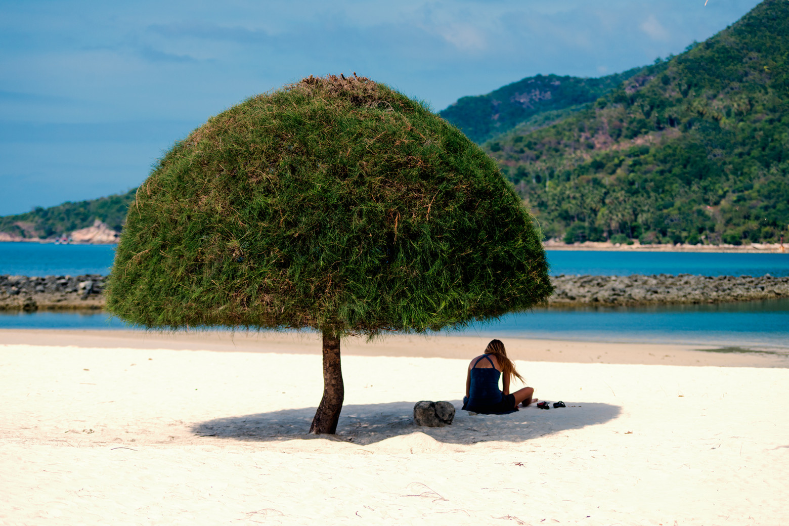 Алгоритм обиды. Часть #01 - 1