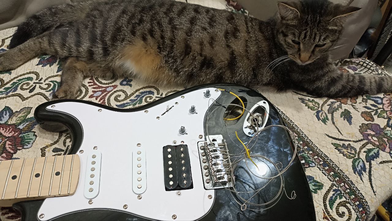 Levinson LS-300 — одна из самых дешёвых электрогитар - 11