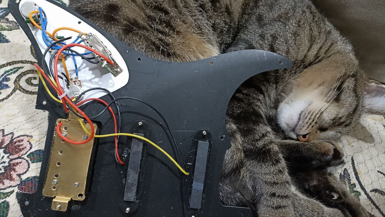 Levinson LS-300 — одна из самых дешёвых электрогитар - 18