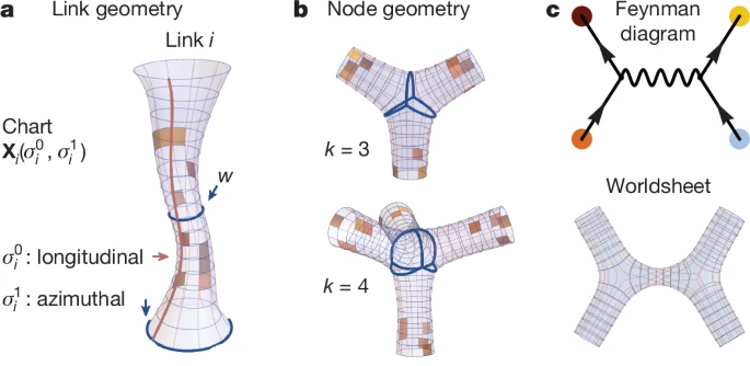 а ) В физической сети связи представлены диаграммами с многообразной морфологией X i ( σ i ). Каждая диаграмма i описывается своей локальной системой координат σ i . Естественная параметризация поверхности обеспечивается продольными (красный) и азимутальными (синий) координатами. Минимальная окружность вокруг связи обозначается w и измеряется вдоль пути в азимутальном направлении. б ) Пересечения между связями определяют геометрию вокруг узлов. c ) Диаграмма Фейнмана (вверху) описывает взаимодействие между элементарными частицами в теории поля. В теории струн диаграммы Фейнмана представляют собой гладкие и непрерывные многообразия, мировая поверхность (внизу)  преобразуют дискретную диаграмму Фейнмана в интегрируемый объект. 