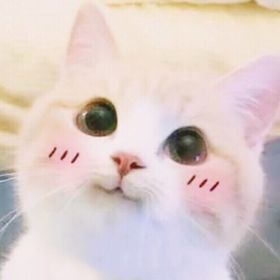 Прозрачность как главный UX-принцип: что не должен скрывать интерфейс инженерных продуктов - 11 Прозрачность как главный UX-принцип: что не должен скрывать интерфейс инженерных продуктов - 11