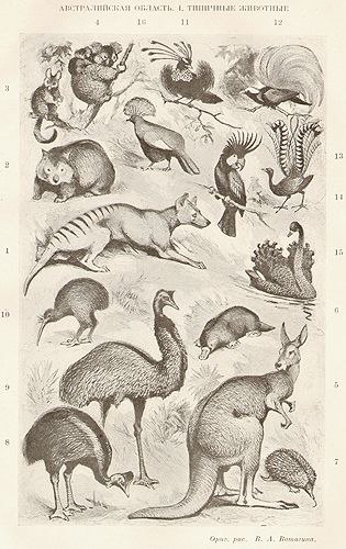 Заветные энциклопедии — ламповый мир знаний из советского детства - 7 Заветные энциклопедии — ламповый мир знаний из советского детства - 7