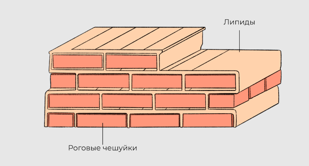 Источник