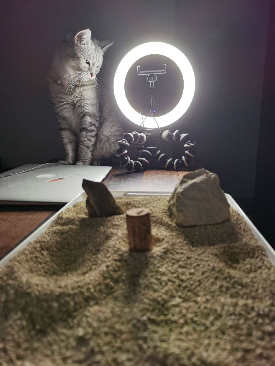 Как мы искали «Луну-9» - 25