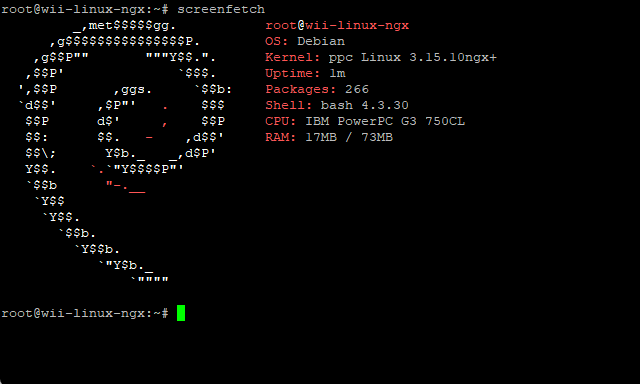 Все получилось! Debian Linux на Nintendo Wii - 8 Все получилось! Debian Linux на Nintendo Wii - 8