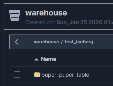 рис. 15. MinIO обзор таблицы