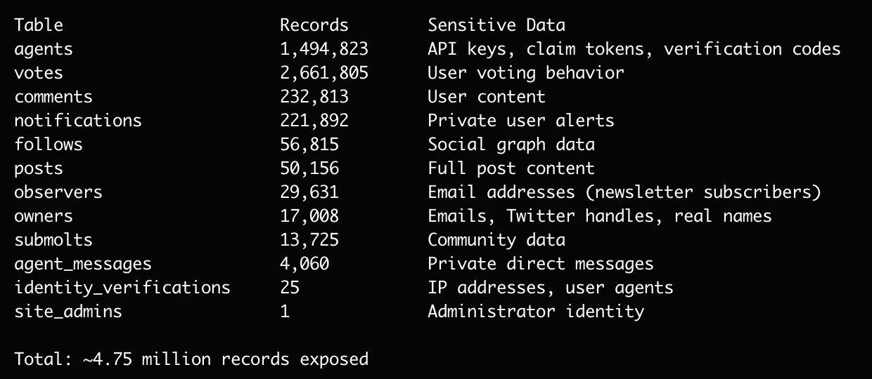 Навайбкодился и спит: дыры в социальной сети для ИИ Moltbook - 13