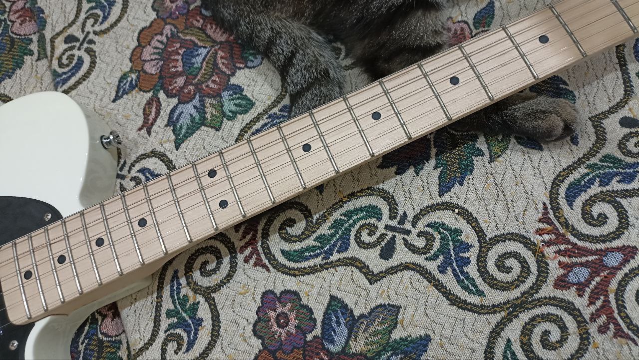 Самый доступный из настоящих Телекастеров - 14 Самый доступный из настоящих Телекастеров - 14