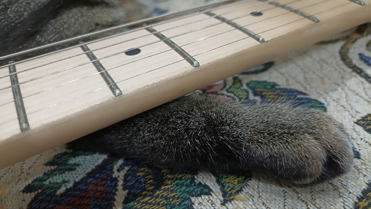 Самый доступный из настоящих Телекастеров - 18 Самый доступный из настоящих Телекастеров - 18