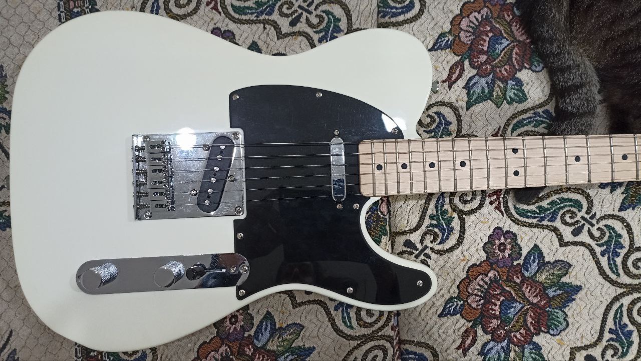 Самый доступный из настоящих Телекастеров - 22 Самый доступный из настоящих Телекастеров - 22