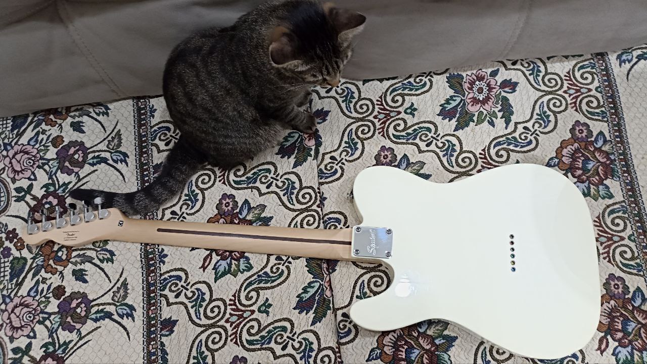 Самый доступный из настоящих Телекастеров - 26 Самый доступный из настоящих Телекастеров - 26