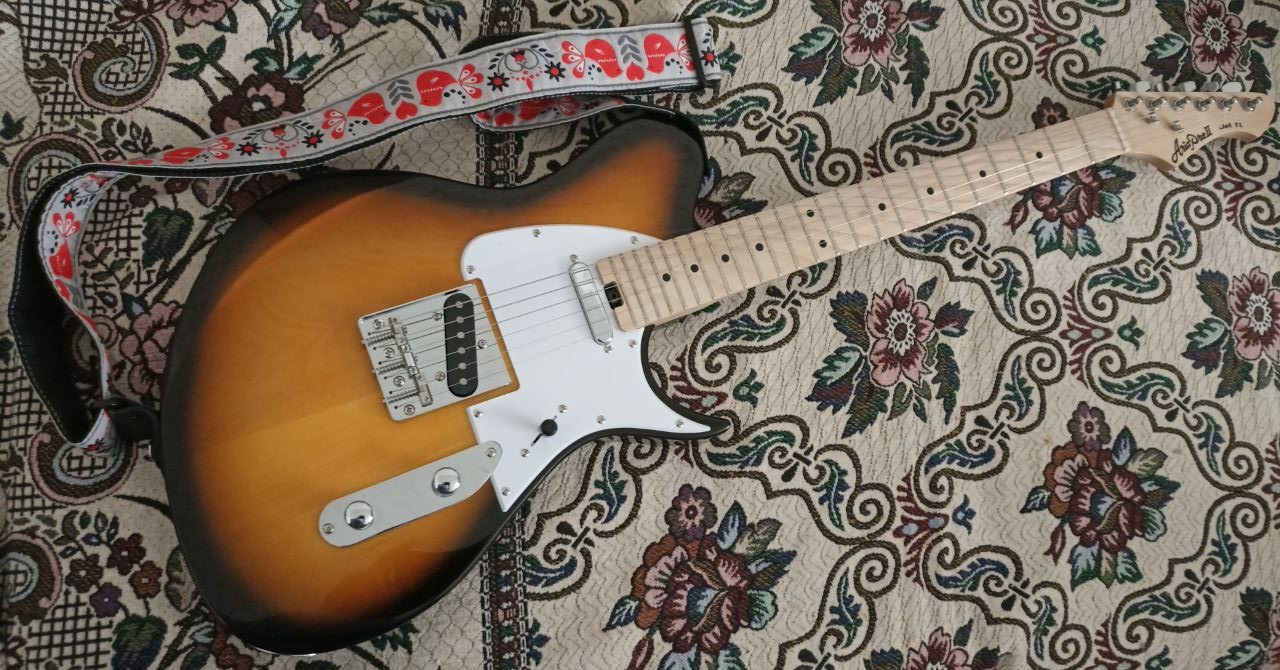 Самый доступный из настоящих Телекастеров - 27 Самый доступный из настоящих Телекастеров - 27