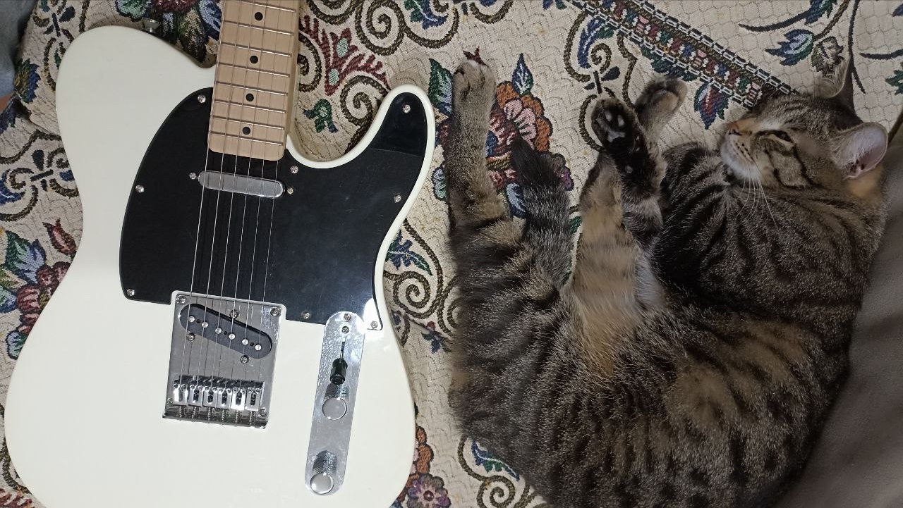 Самый доступный из настоящих Телекастеров - 1