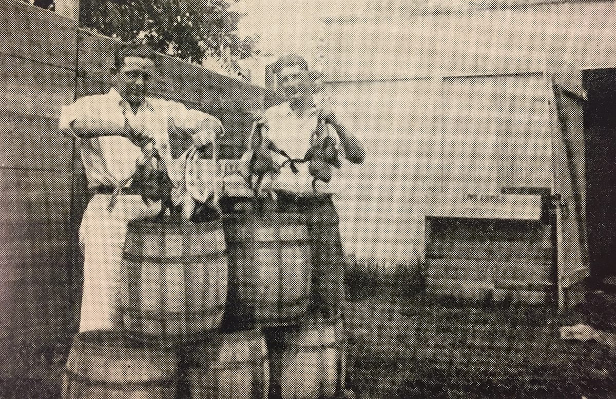 Экскурсия по современной лягушачьей ферме для морально готовых к просмотру