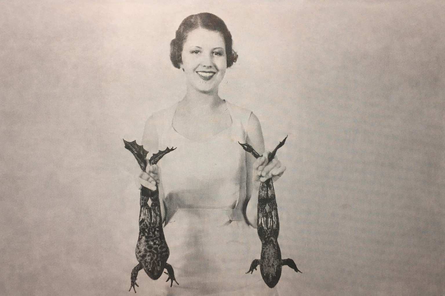 Источник Источник