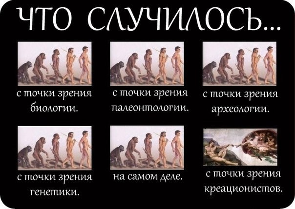 Правда и мифы об эволюции. Дарвинизм против креационизма. Деконструкция разумного замысла - 2