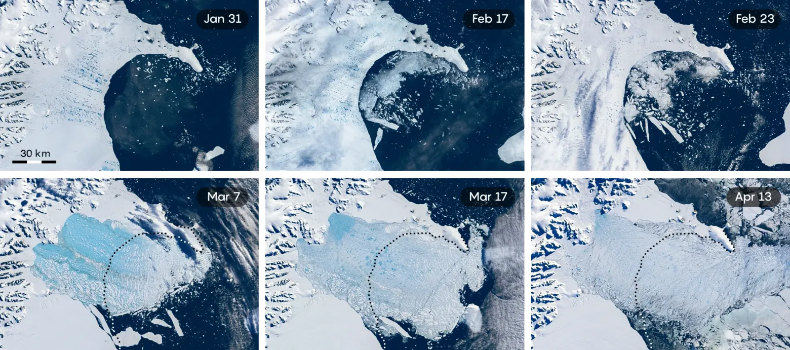 В начале этой серии спутниковых снимков видны лужи талой воды, которые способствовали растрескиванию ледника, в виде параллельных синих линий. Вскоре ледник распался и превратился в синеватую смесь ледяной каши и айсбергов. Это поле ледяных обломков в значительной степени растаяло следующим летом и начало уноситься течениями. 