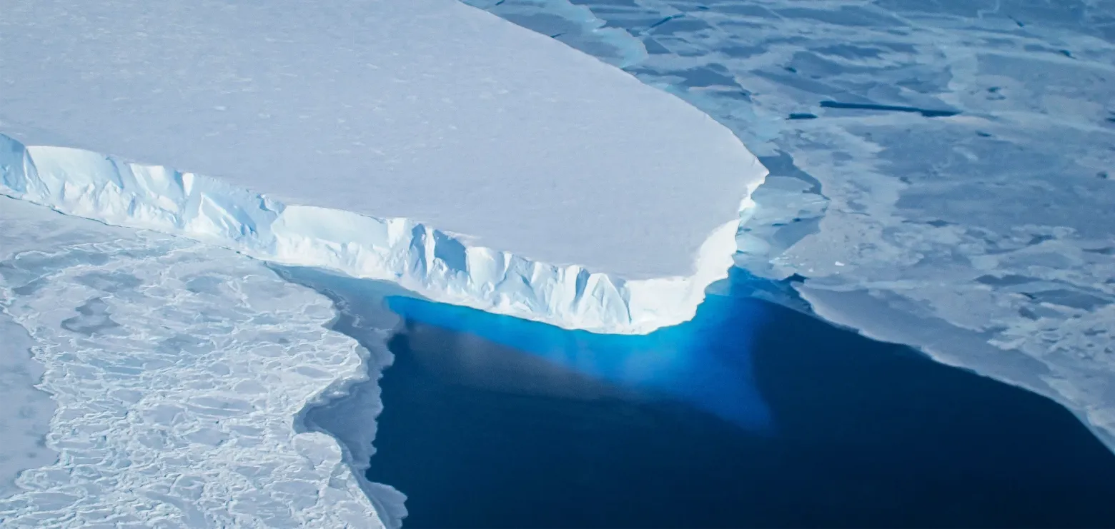 Шельфовый ледник Туэйтса в Западной Антарктиде — плавучее продолжение ледника Туэйтса, который берёт лёд у значительной части Западно-Антарктического ледового щита. Шельфовый ледник истончается из-за таяния под воздействием тёплой океанической воды, находящейся ниже.  