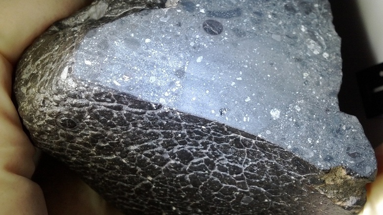 Марсианский метеорит «Чёрная красавица» подтвердил наличие древней воды на Марсе - 1 Марсианский метеорит «Чёрная красавица» подтвердил наличие древней воды на Марсе