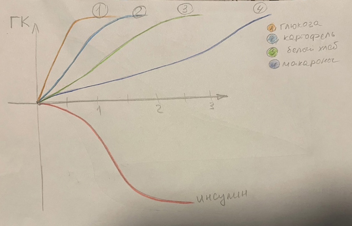 О регуляции сахара в крови - 7 Регуляция сахара в крови - 7