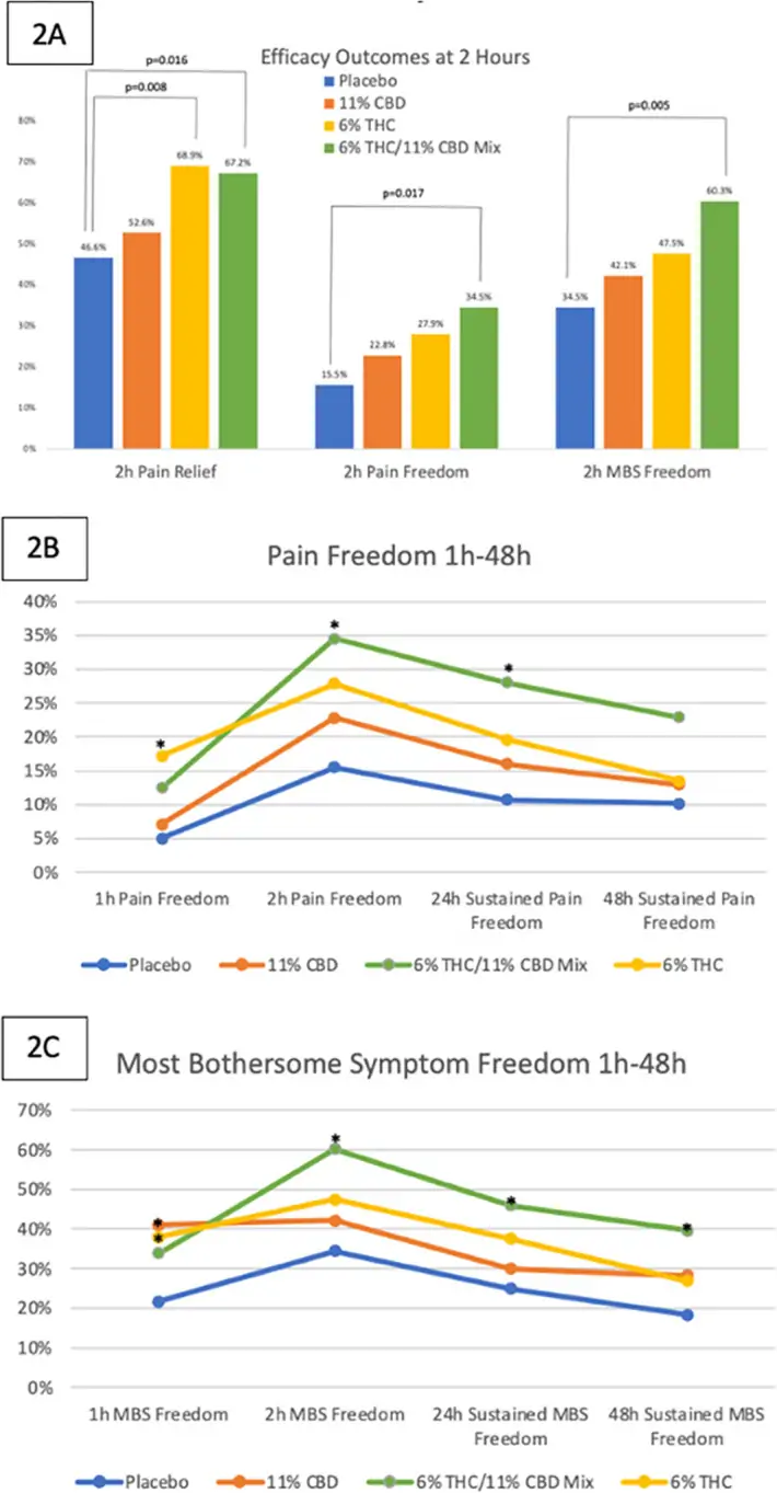 Данные по эффективности вмешательств. 2A) Результаты эффективности через 2 часа.                                  2B) Показатели отсутствия боли через 1 и 2 часа и показатели устойчивого отсутствия боли через 24 и 48 часов. 2C) Показатели отсутствия наиболее беспокоящих симптомов через 1 и 2 часа и показатели устойчивого отсутствия этих симптомов через 24 и 48 часов.