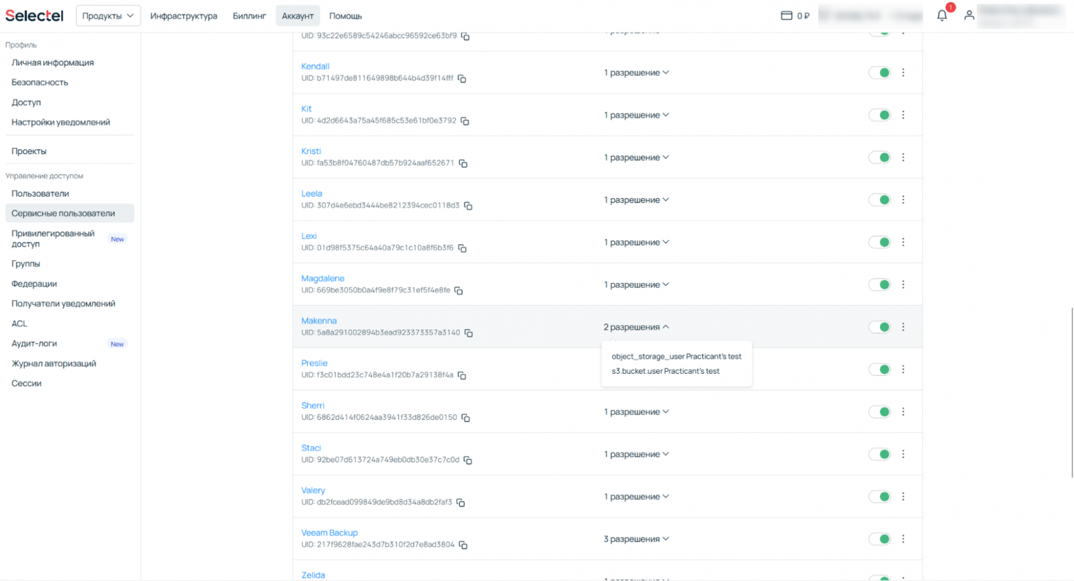 Пример использования паттерна Show More в IAM