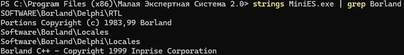 Вывод команды strings MiniES.exe | grep Borland