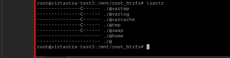 Выставленные атрибуты nocow