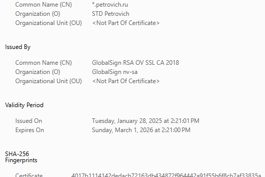 Партизанский Telegram: как поднять прокси-невидимку, прикидываясь онлайн-магазином - 3