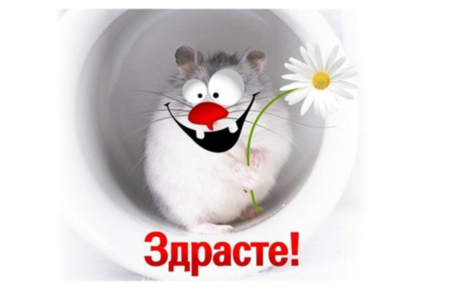 Сравнение рейтинга TIOBE и вакансий на HH - 1