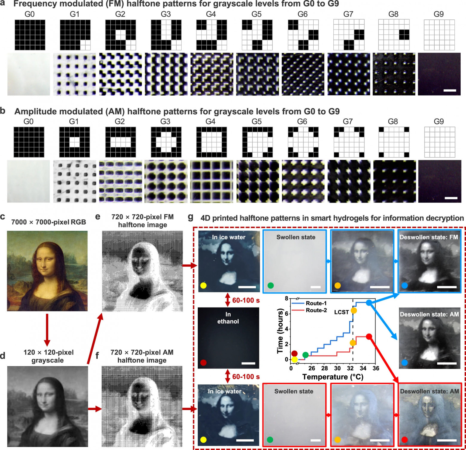 4D-печать и осьминоги - 4 4D-печать и осьминоги - 4