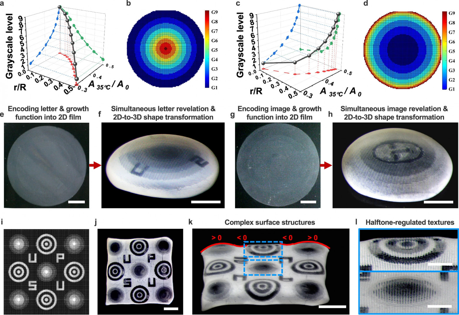 4D-печать и осьминоги - 7 4D-печать и осьминоги - 7