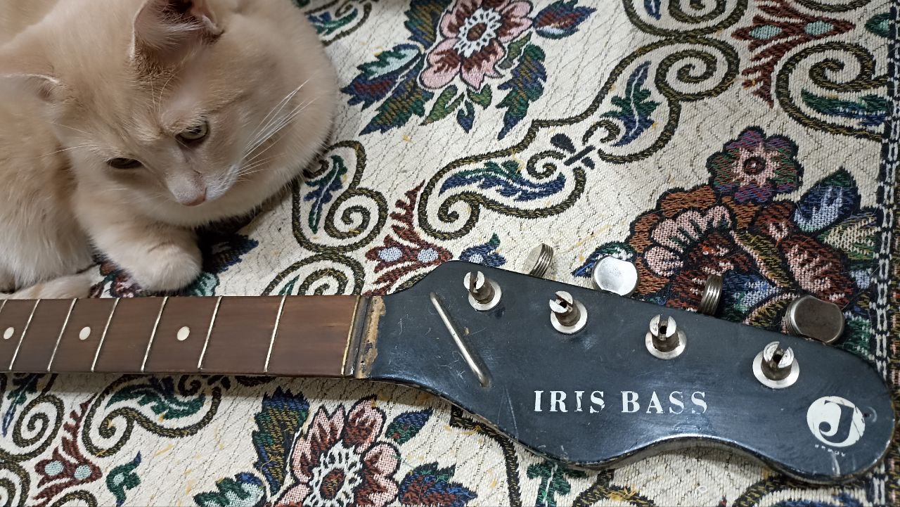 Антикварная бас-гитара Jolana Iris из ЧССР, часть 1: первое знакомство - 1 Антикварная бас-гитара Jolana Iris из ЧССР, часть 1: первое знакомство - 1