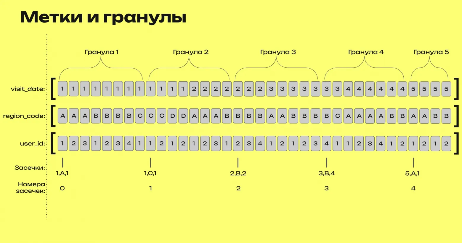 Метки и гранулы