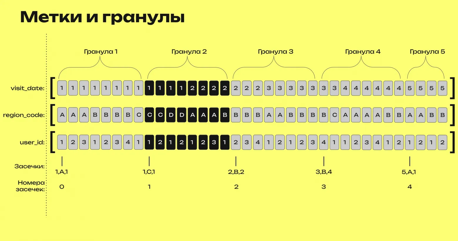 Метки и гранулы