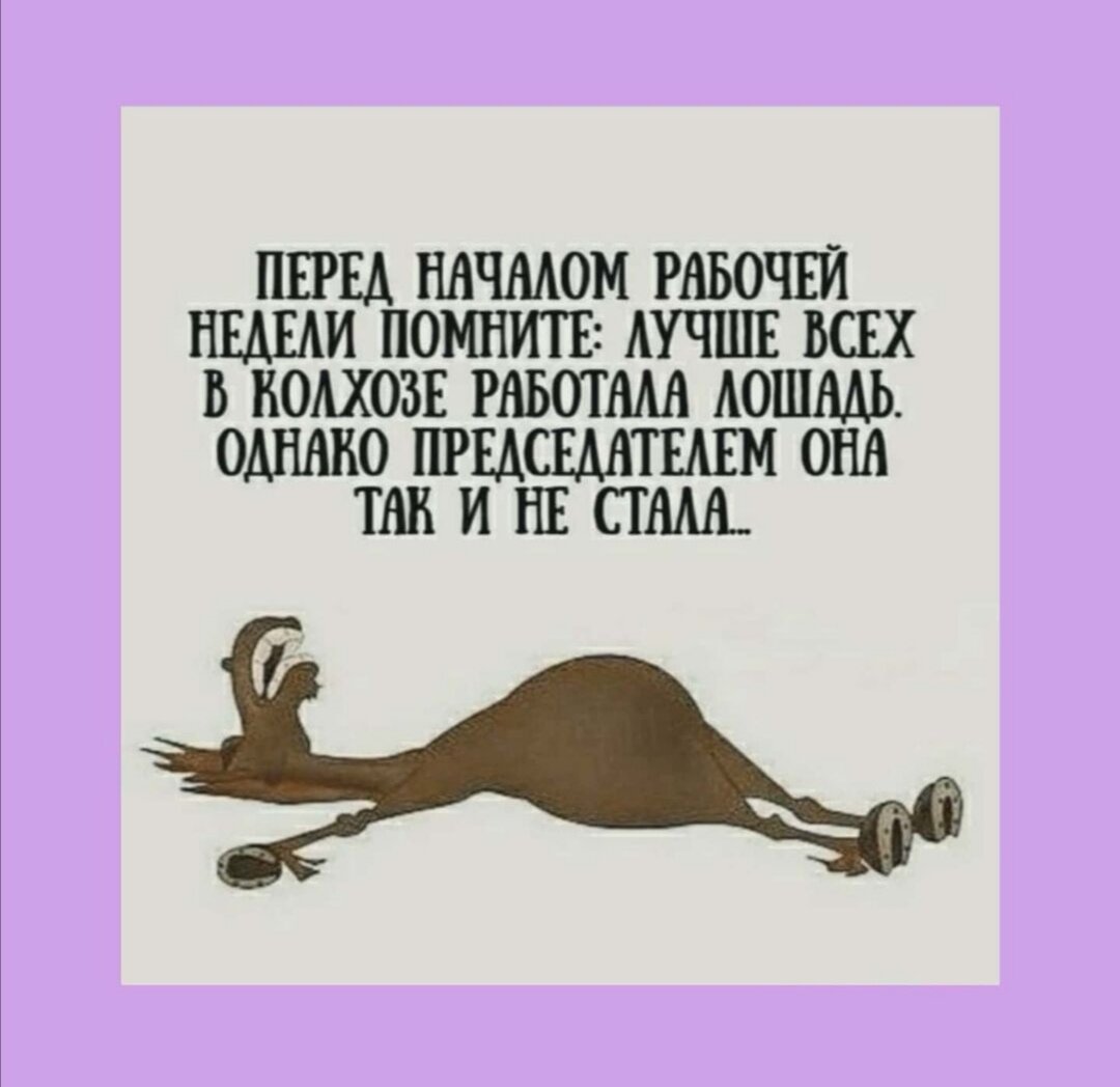 Мем уровня "демотиваторы 2009" на тему колхозного коня