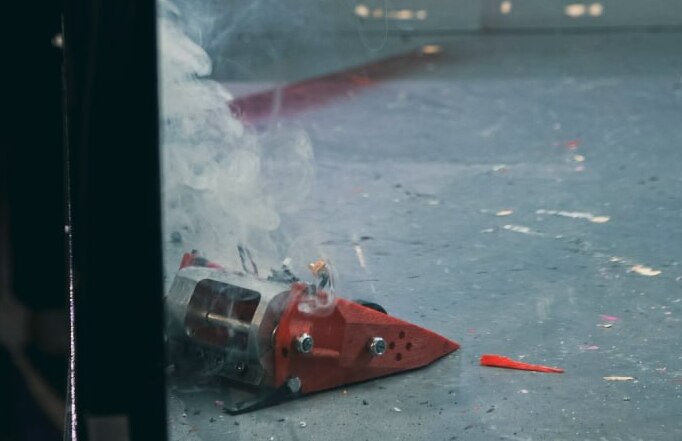 Фрэнк после битвы с Тюленем. Вес: 1.5 килограмма