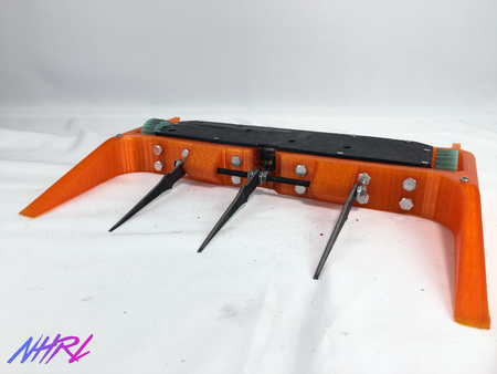 Clyde из NHRL. Вес: 3 фунта