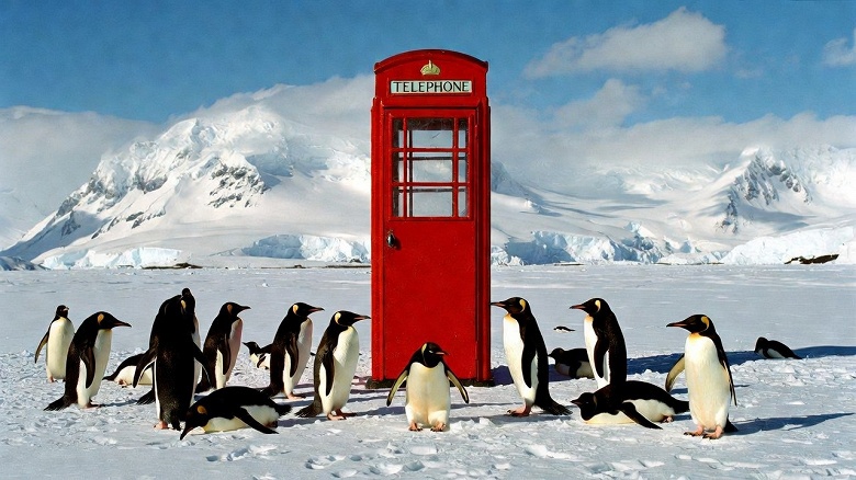 МТС обеспечил связь в бухте Тала, важном логистическом центре Антарктиды